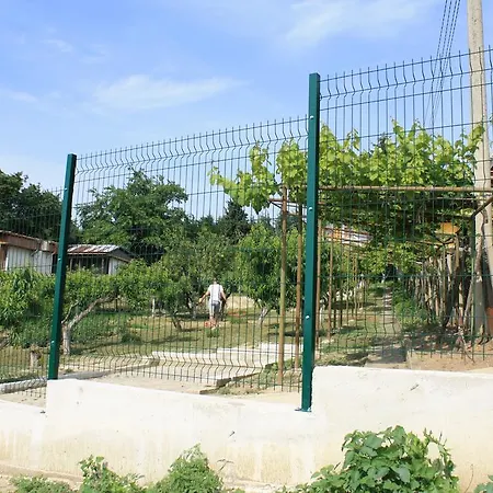 Zlatevi