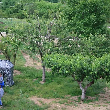 Zlatevi