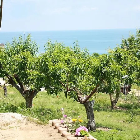 Case de vacanță Zlatevi *